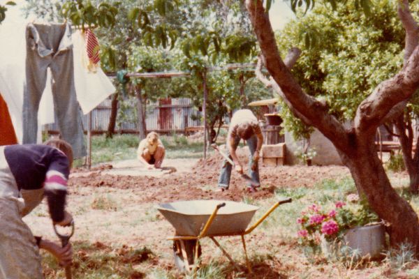 back-yard-gardening56F78226-3E37-AECD-8BB9-FC5E816443FD.jpg